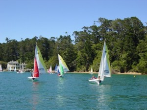 Teams Camp 2003, Kawau Island